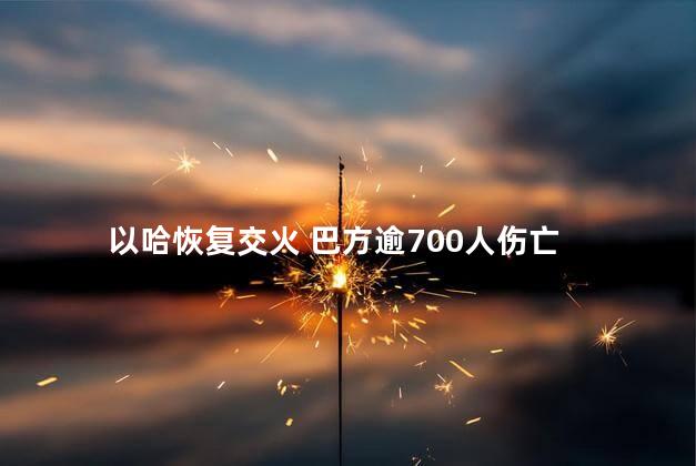 以哈恢复交火 巴方逾700人伤亡